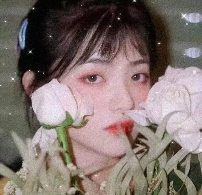铁血战士