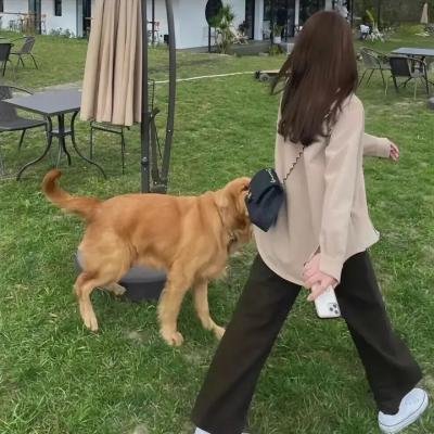 罗小黑战记海报